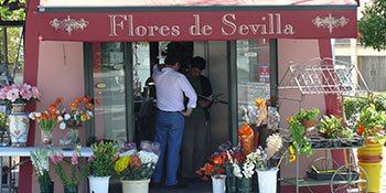 Floristik-Shop in Sevilla, ein Praktikumsbetrieb für Teilnehmer des IdA Projektes.