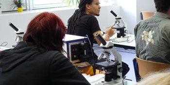 Schüler im Biologieunterricht am Kolleg des Stöckhardt-Gymnasiums